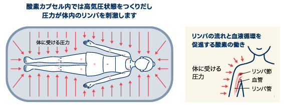 日本製O₂ カプセル原理説明
